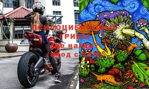 тгк Мегион