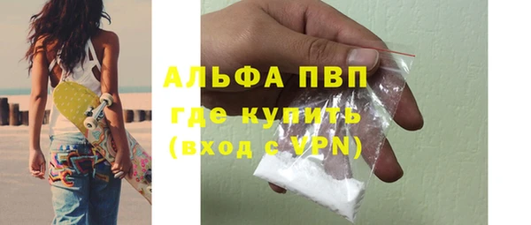 Альфа ПВП Магадан