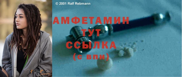 молекула духа Медвежьегорск