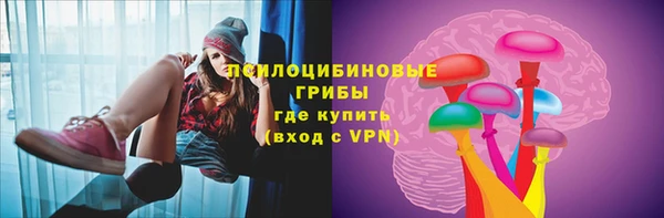 тгк Мегион