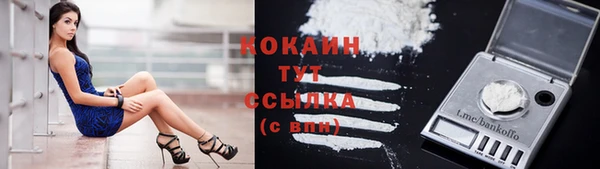 тгк Мегион