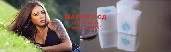 молекула духа Медвежьегорск