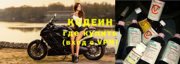 молекула духа Медвежьегорск