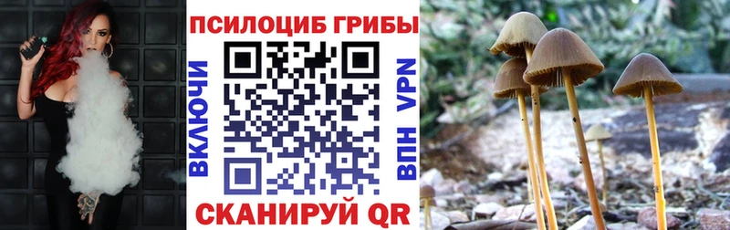 как найти закладки  Набережные Челны  Псилоцибиновые грибы мицелий 
