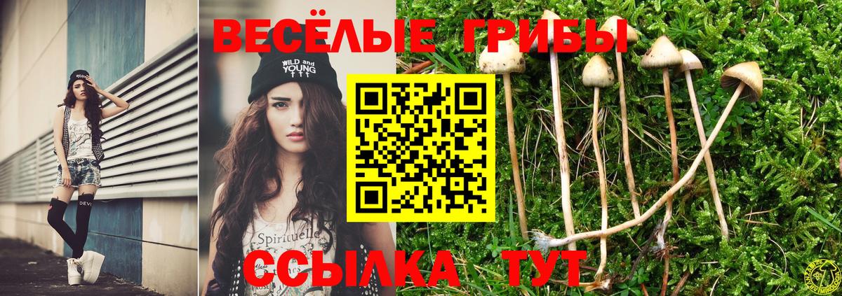 Галлюциногенные грибы Psilocybe Набережные Челны