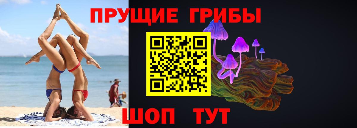 Галлюциногенные грибы GOLDEN TEACHER  Галлюциногенные грибы Psilocybe  Вход с VPN  Набережные Челны 